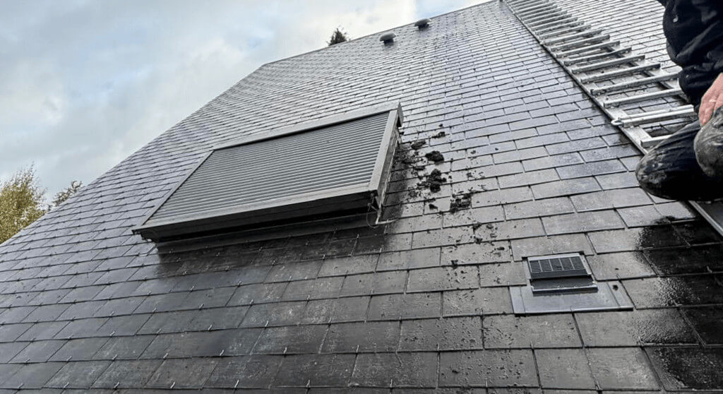 Business professional