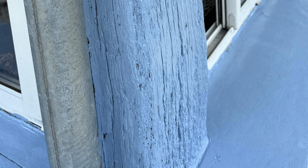 Business professional